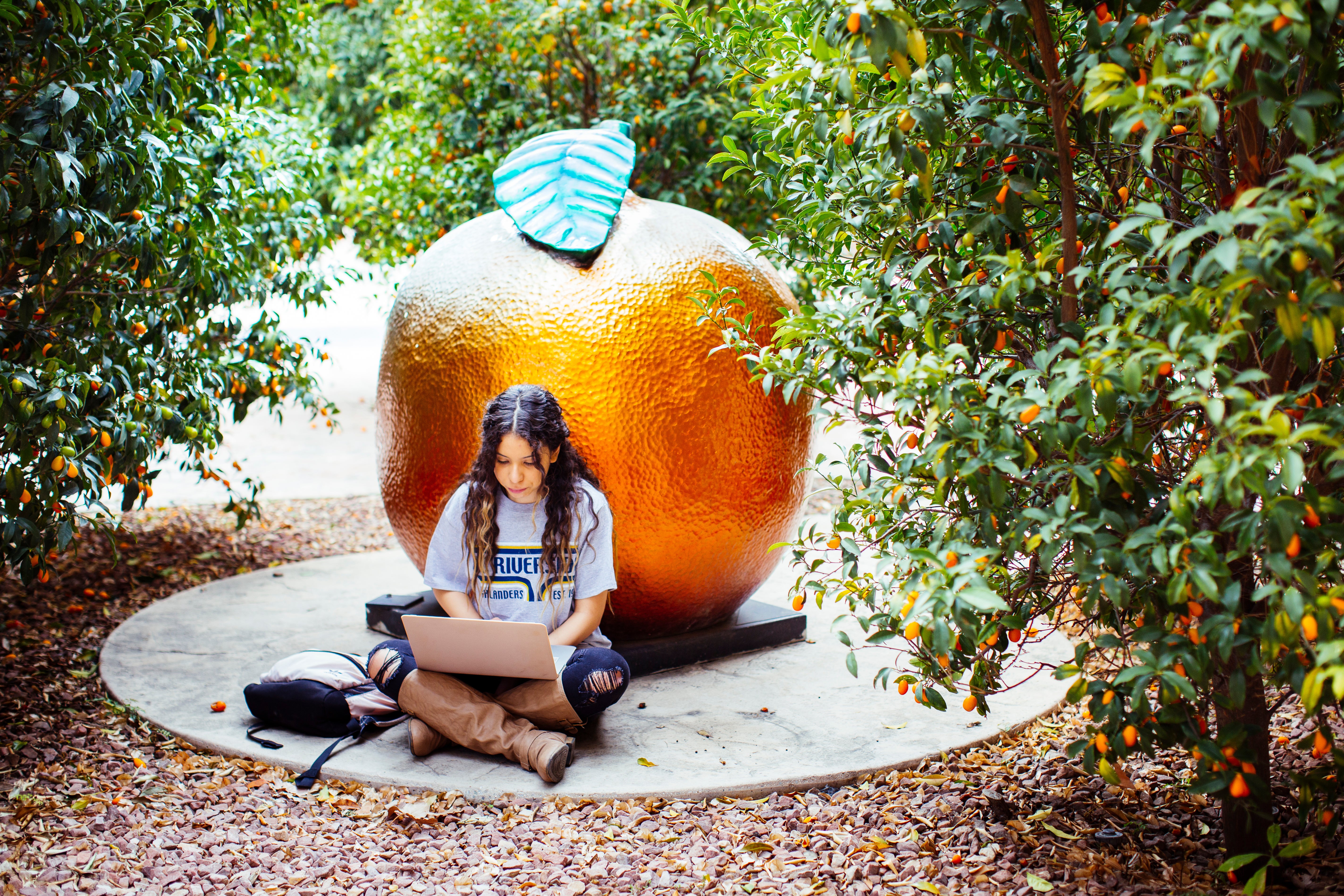 An orange art installation is surrounded by kumquat trees outside the Humanities and Social Sciences building at UCR.