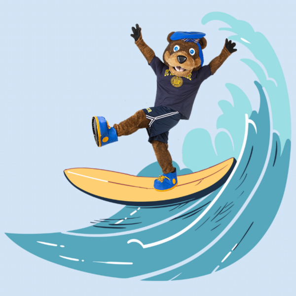 Scotty surfing